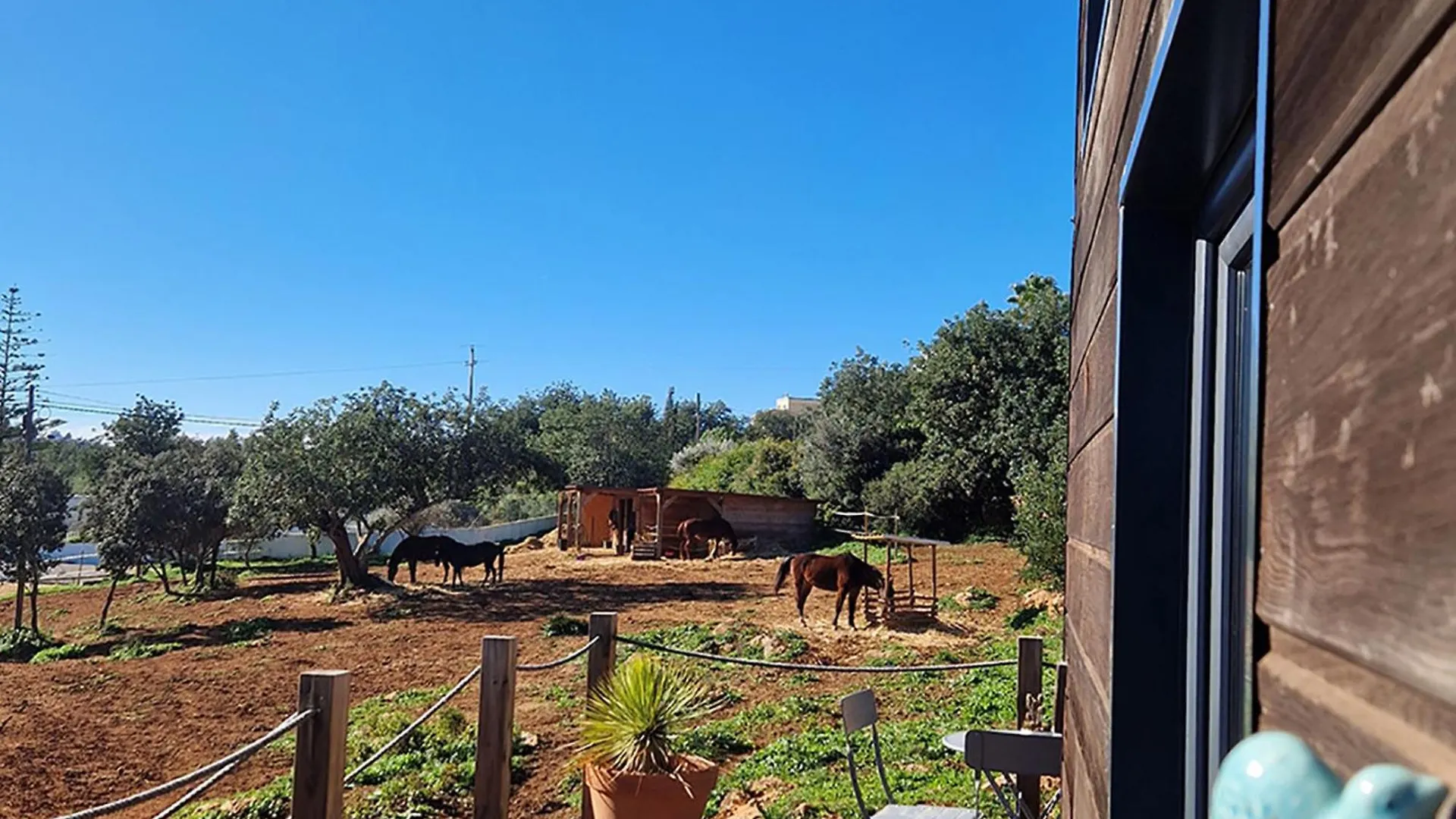 Tiny House Loule Algarve Villa 0*,  Portugal