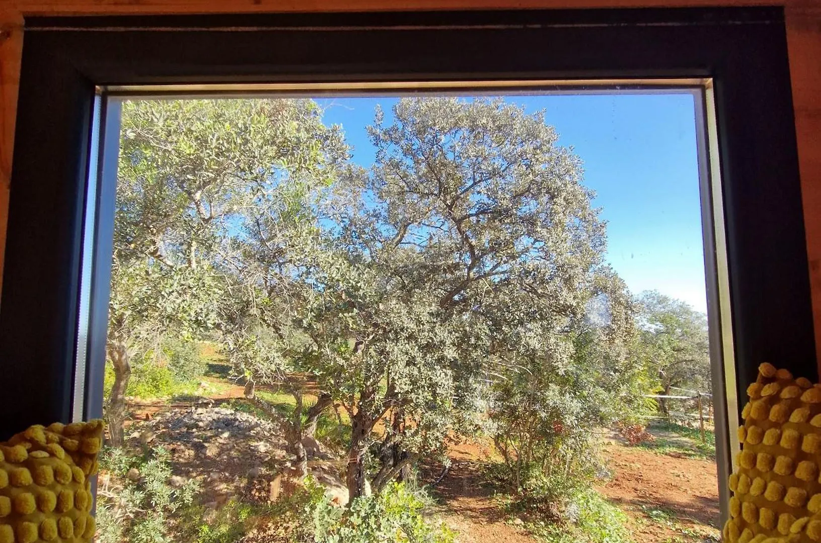 Tiny House Loule Algarve Villa Chalet