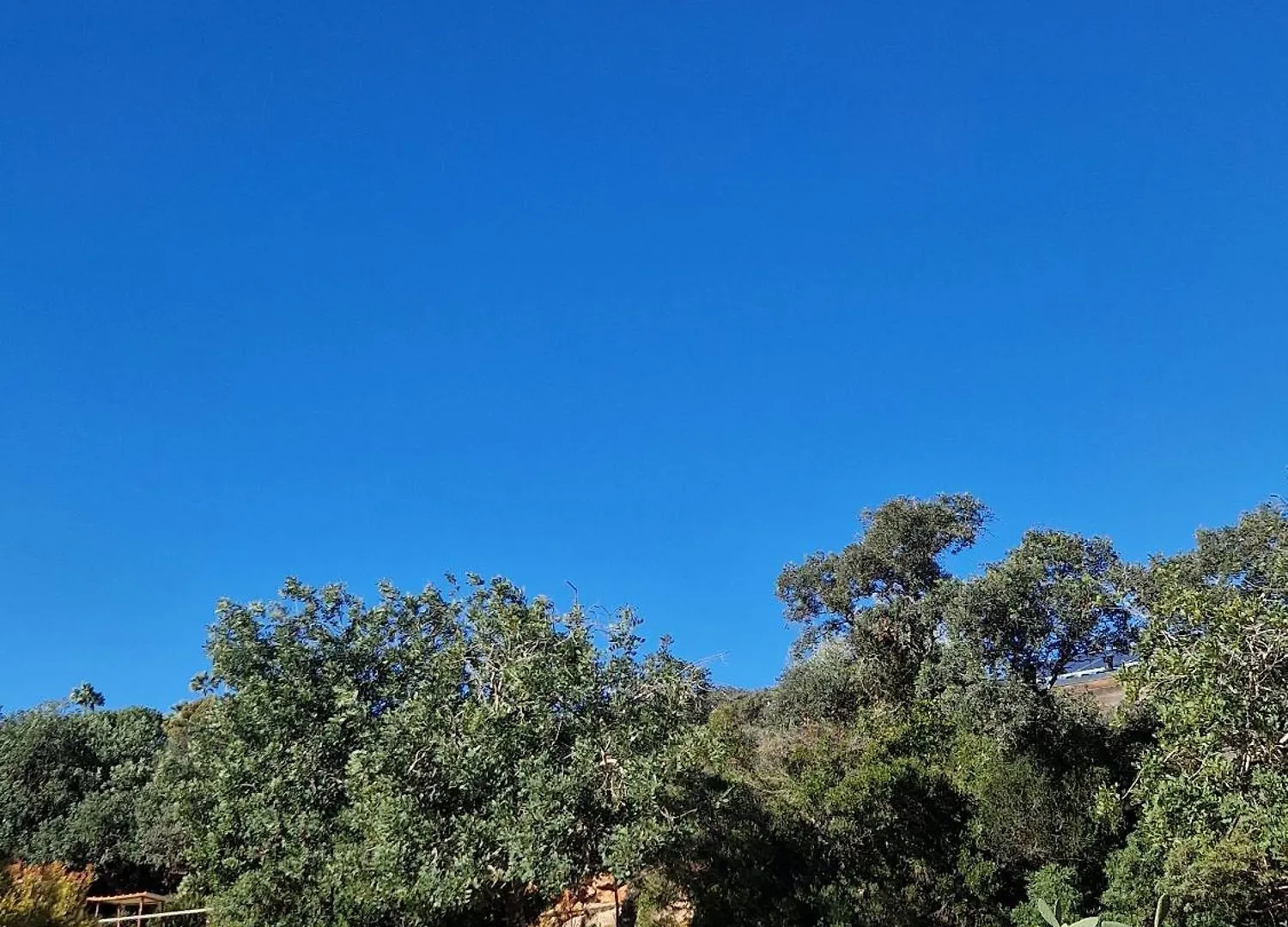 Tiny House Loule Algarve Villa Portugal